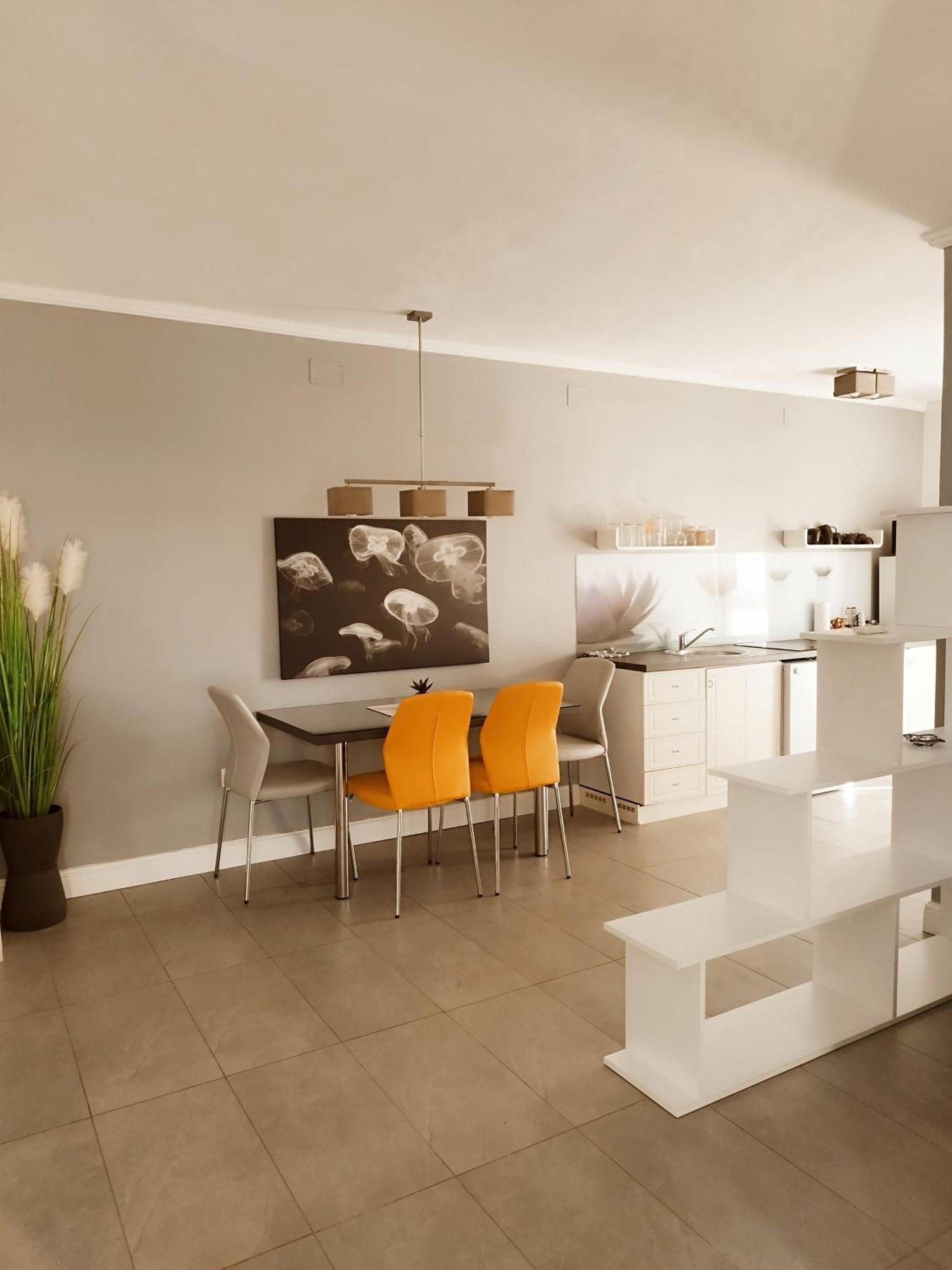 Apartments Merlin Novigrad  Room photo