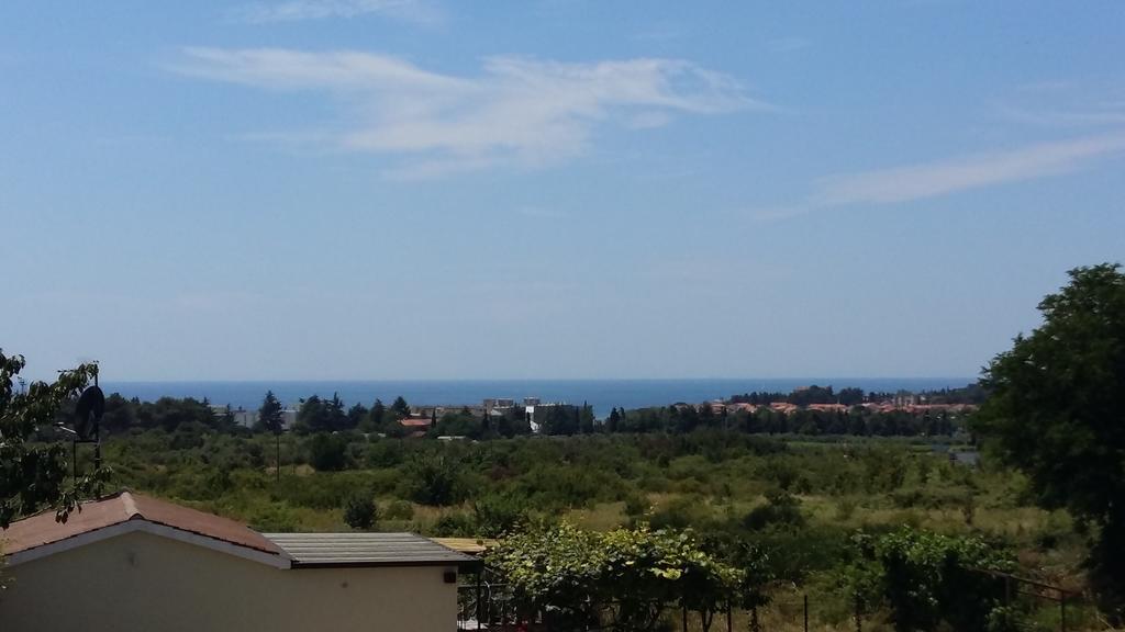 Apartments Merlin Novigrad  Exterior photo