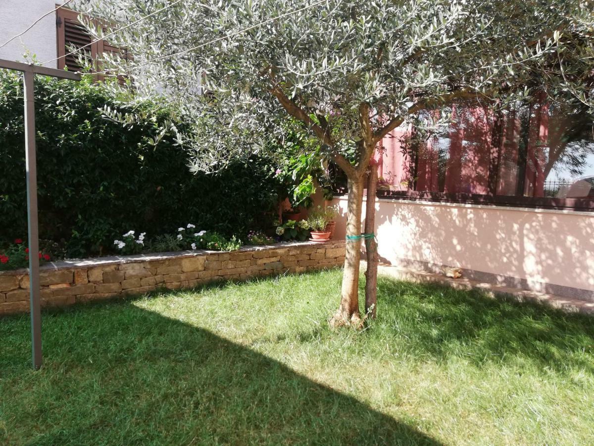Apartments Merlin Novigrad  Exterior photo